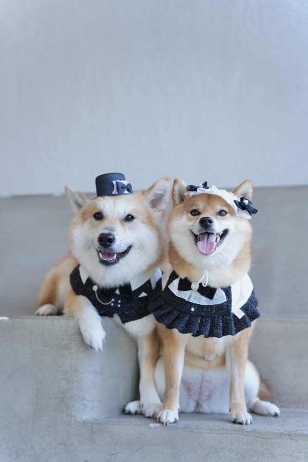 Maru & Nami
